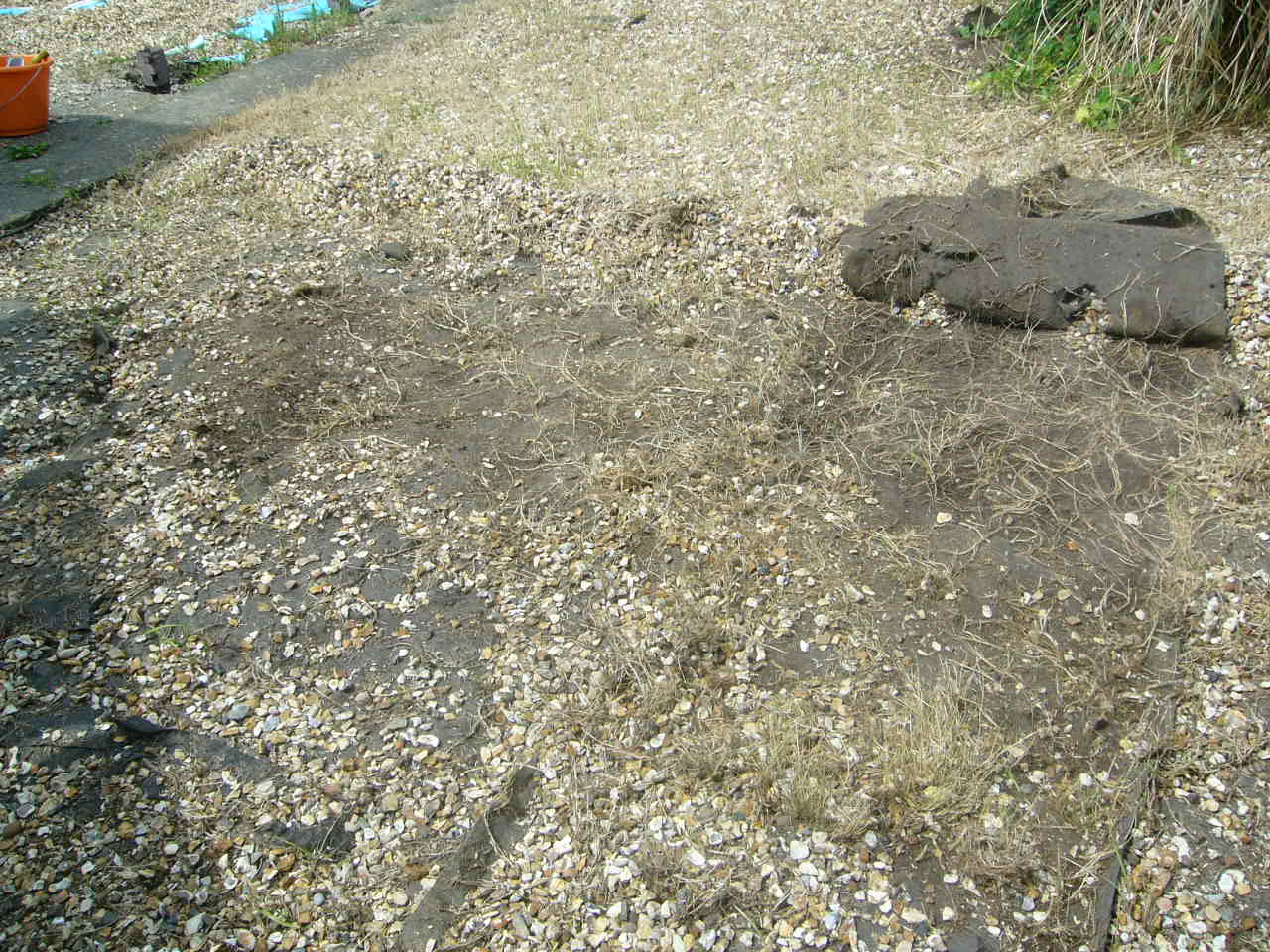 My new 'garden' space Experimental Space