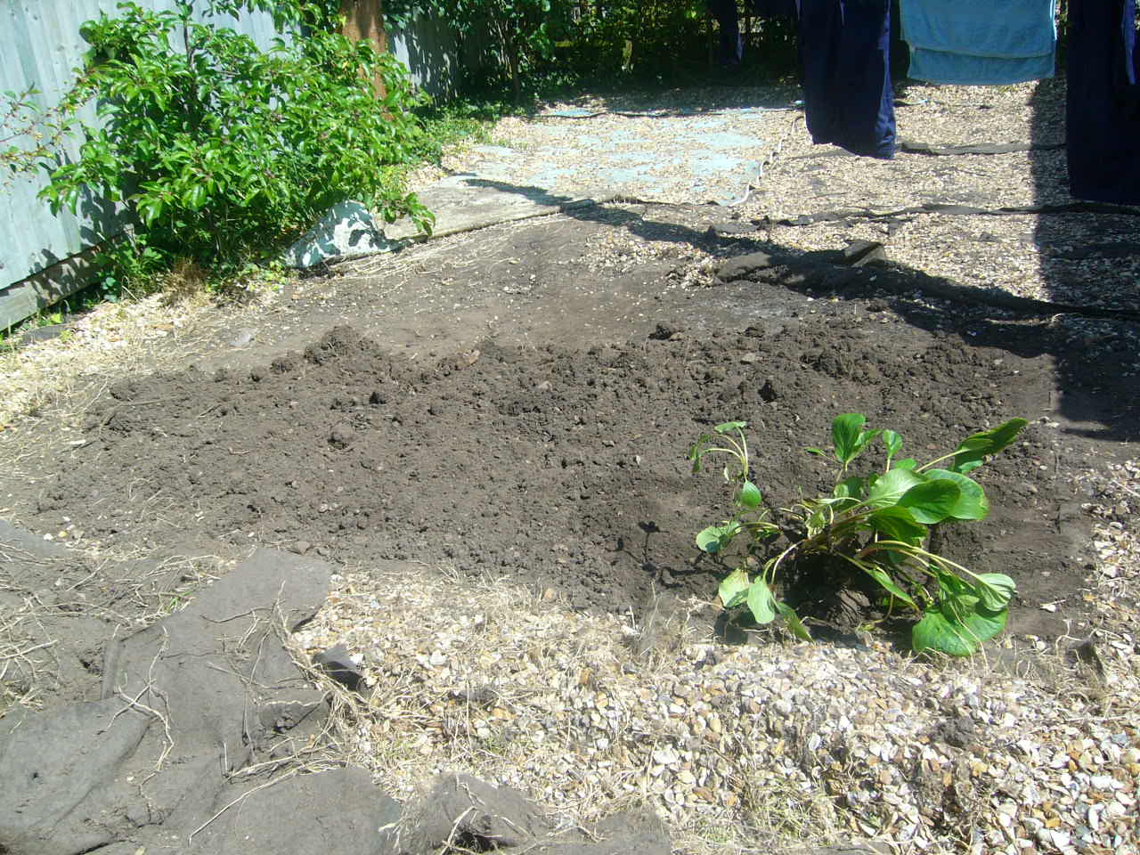 After some work on the garden